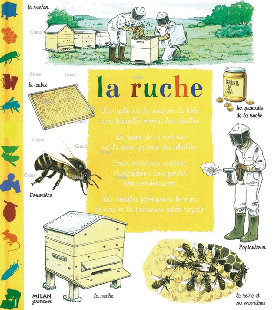 La ruche