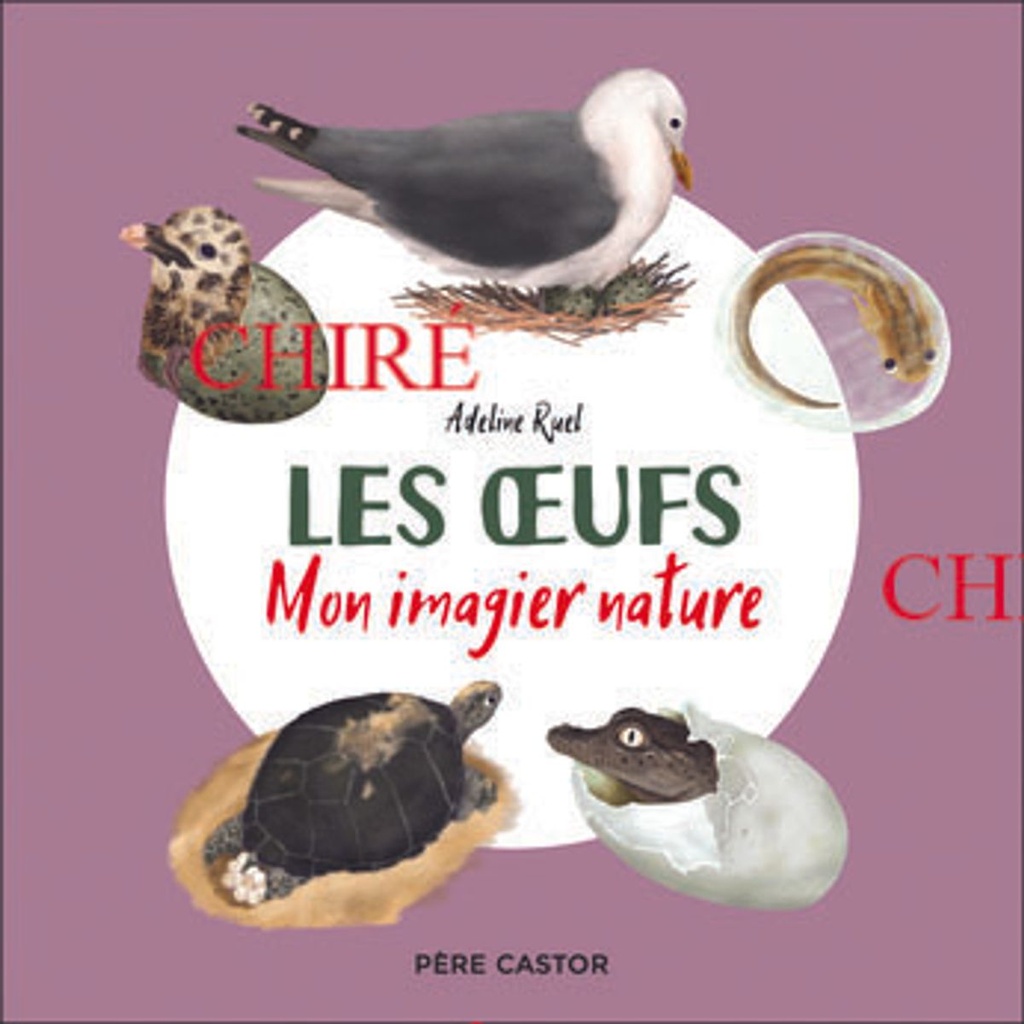 Les oeufs - Mon imagier nature