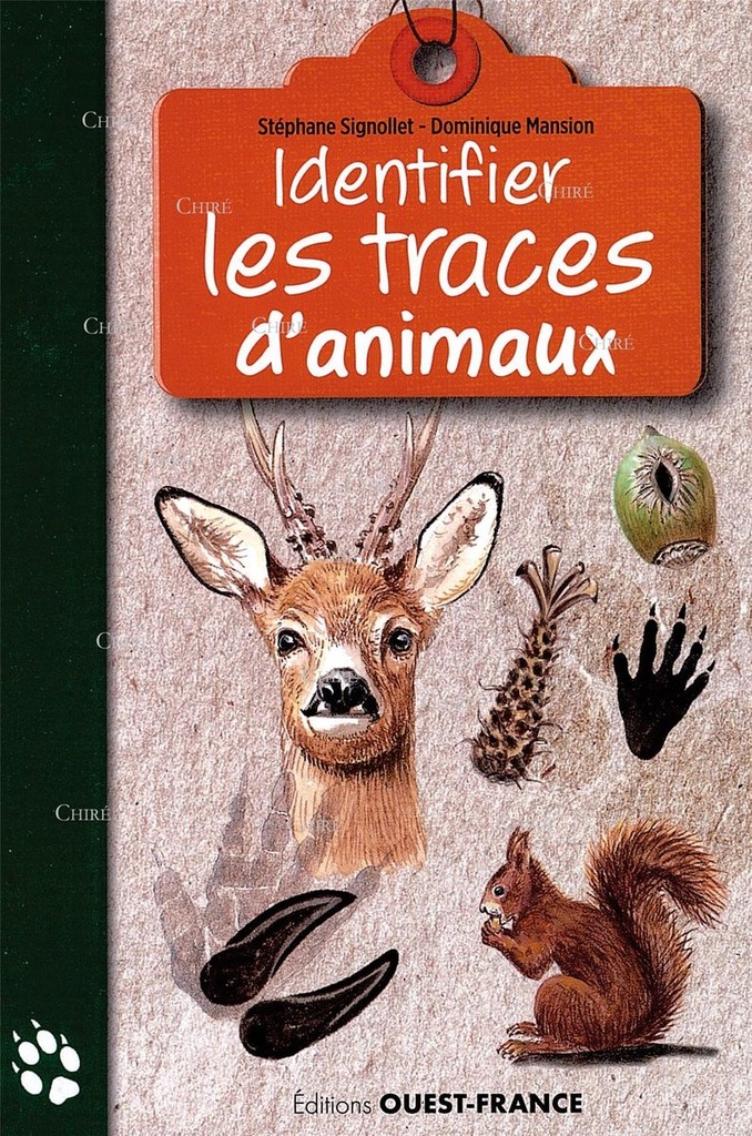 Identifier les traces d´animaux