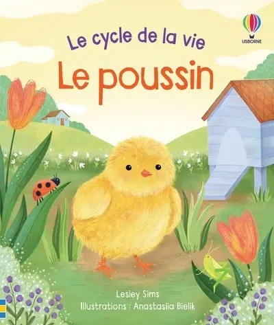Le cycle de la vie -Le poussin