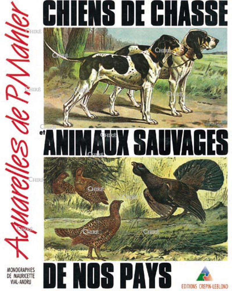 Chiens de chasse et animaux sauvages de nos pays