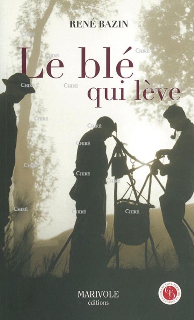 Le blé qui lève