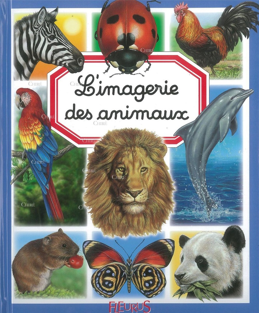 L´imagerie des animaux