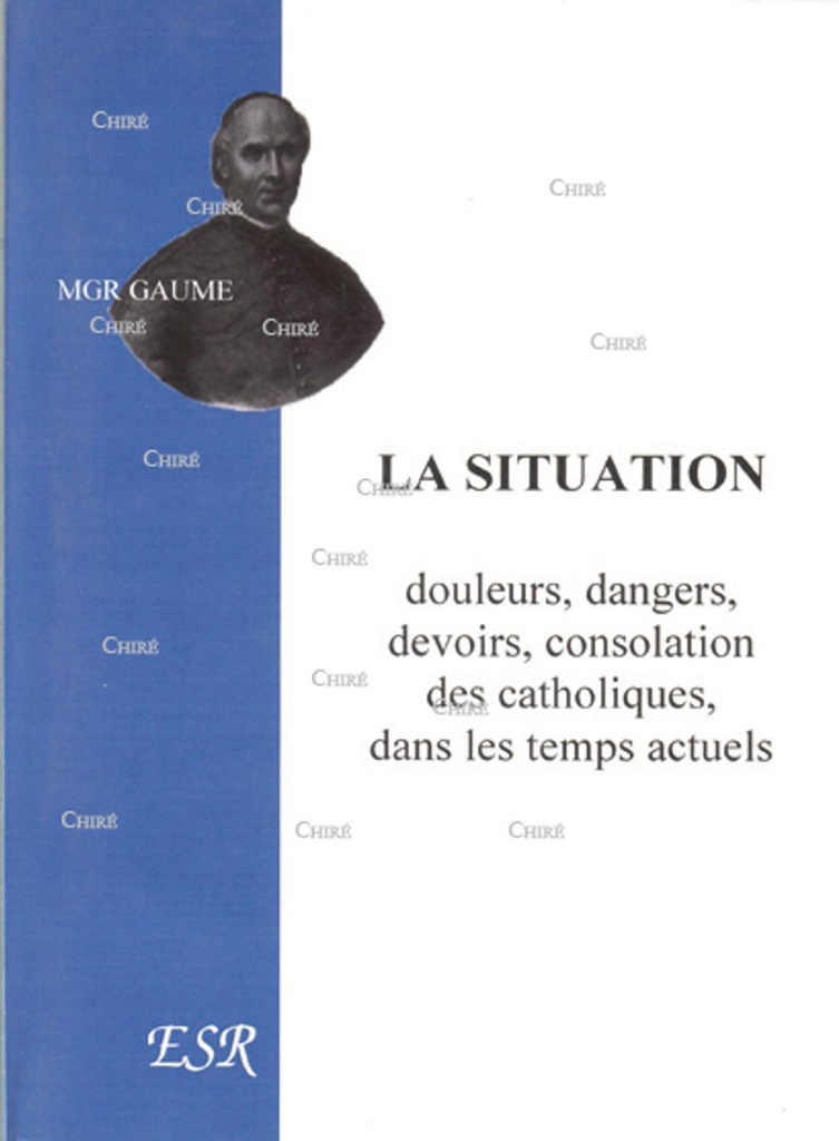 La situation - Douleurs, dangers, devoirs, consolations des catholiques dans les temps actuels