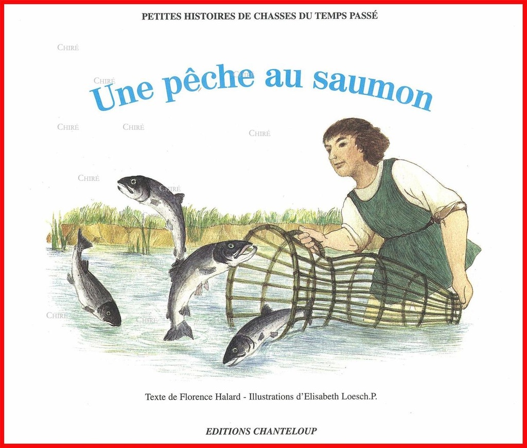 Une pêche aux saumons