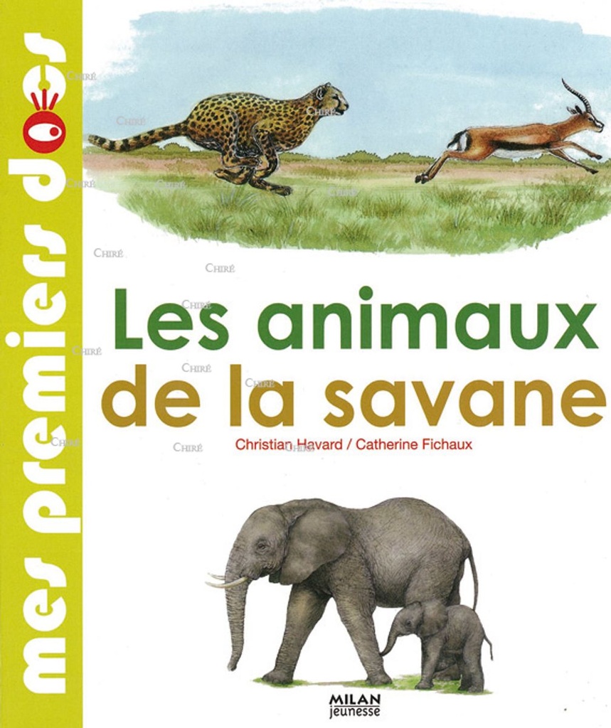Les animaux de la savane