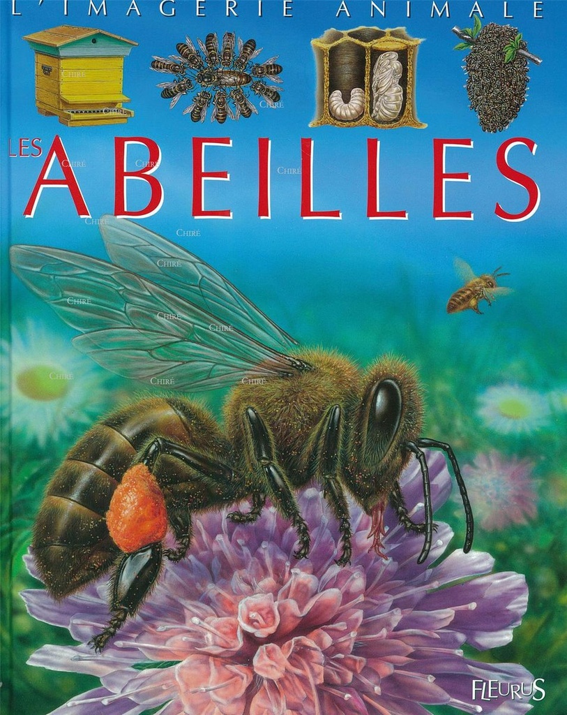 La grande imagerie - Les abeilles