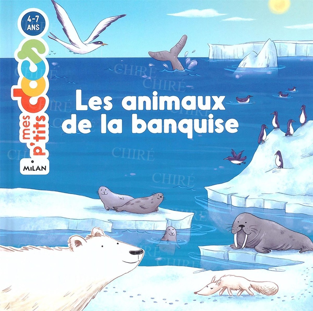 Les animaux de la banquise - Mes p´tits Docs