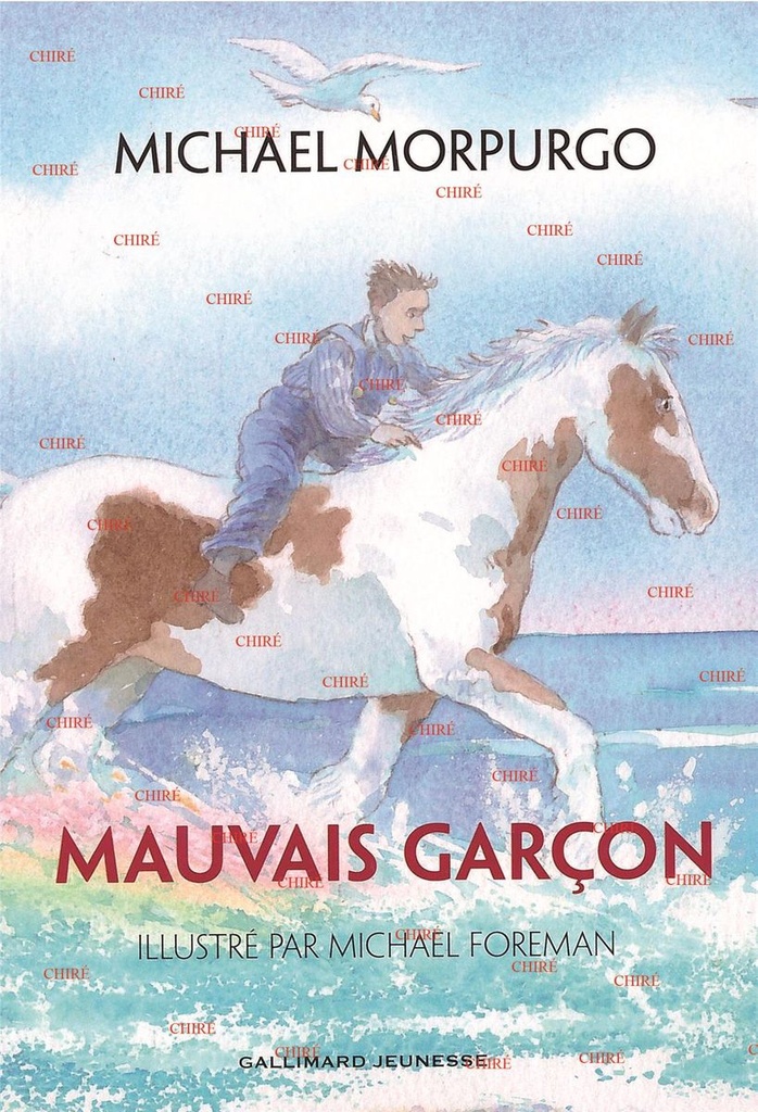 Mauvais garçon