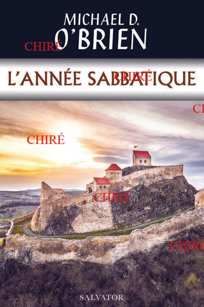 L´année sabbatique - Roman