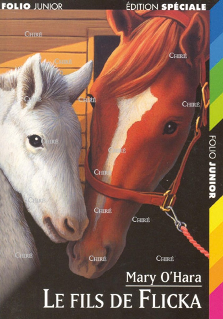 Le fils de Flicka
