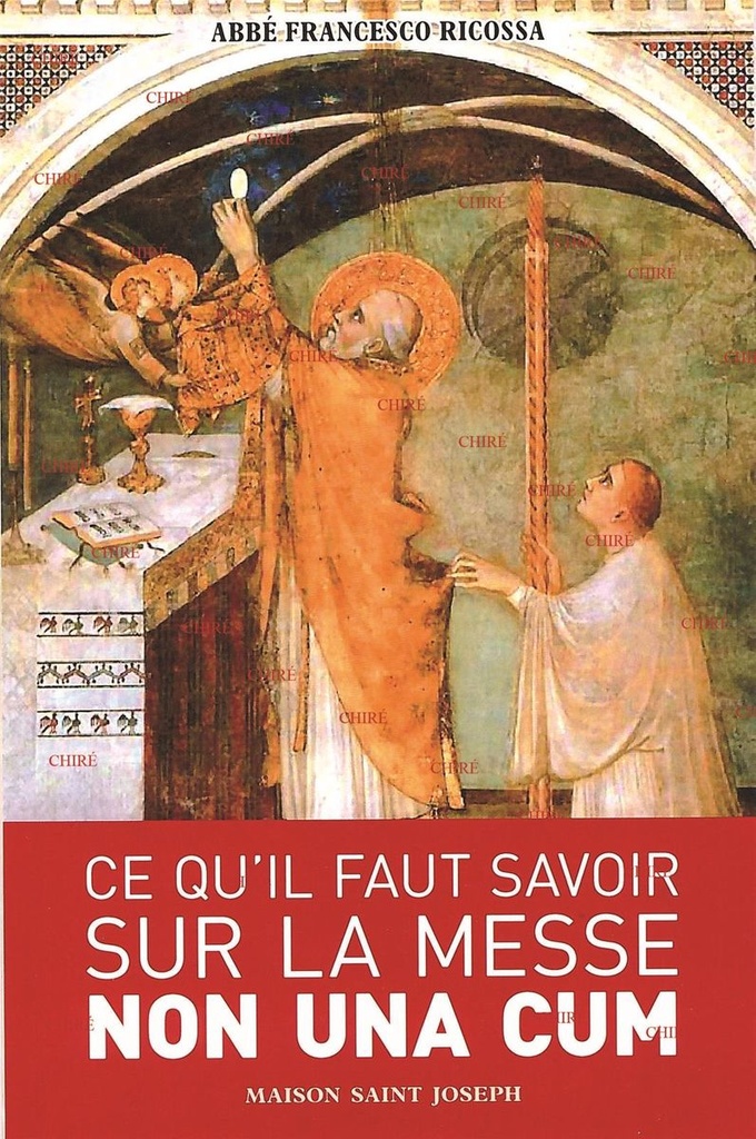 Ce qu´il faut savoir sur la messe non Una cum