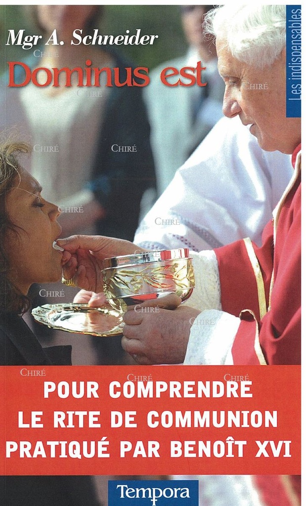 Dominus est - Pour comprendre le rite de communion pratiqué par Benoît XVI